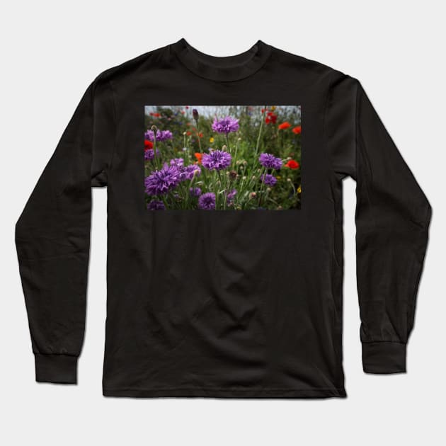 Spring Flowers in the Sun Long Sleeve T-Shirt by jonrendle